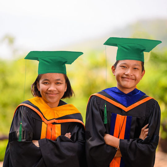 Accesoriu de Carnaval Verde 2buc