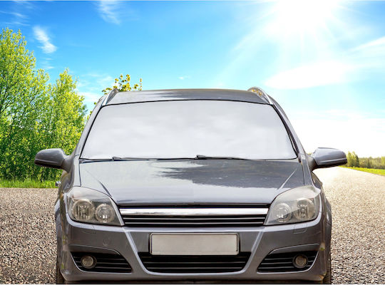 Dunlop Externer Auto-Windschutzscheibenschutz 160x95cm