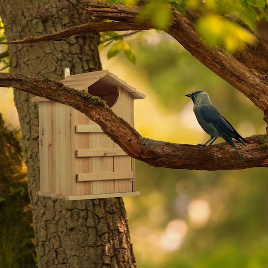 Decorative Wooden Birdhouse 38.5 X 25 X 28 Cm Light Brown