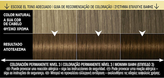 Syoss Oleo Intense Vopsea de Păr Fără Amoniac 4-60 Castaniu Auriu 50ml
