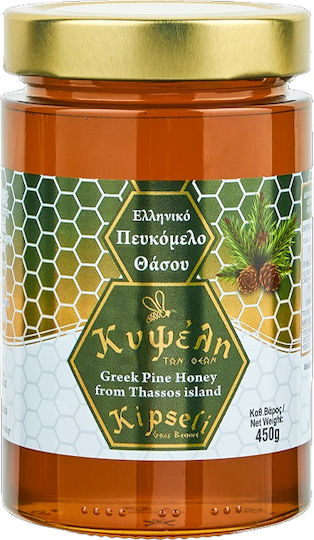 Regina Μέλι Πεύκου 450gr