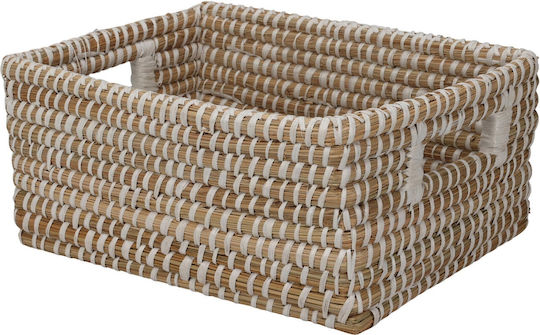 BD2000340 Korbweide