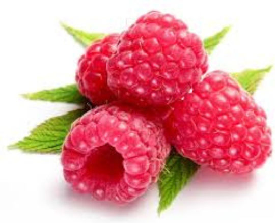 Bombus Crunchy Bar Protein with Flavor Raspberry 50gr