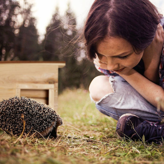 Wooden Hedgehog House 22.5 X 32 X 27 Cm