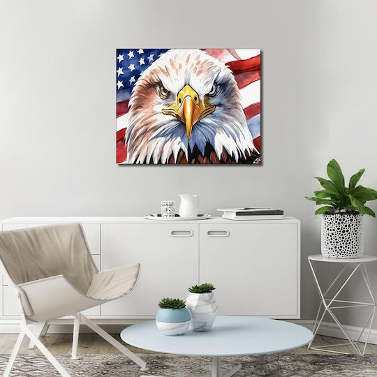 Diy Paint By Numbers Eagle Usa Flag 40x50cm Acrylic Paints