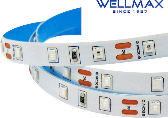 Wellmax LED Strip 24V Blue Light 5m Type SMD2835