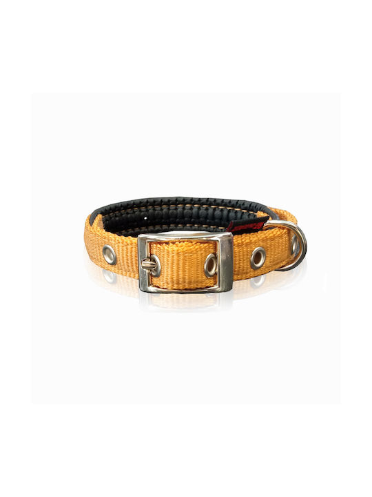 Pet Interest Neoprene Standard Pet Interest Neoprene Standard