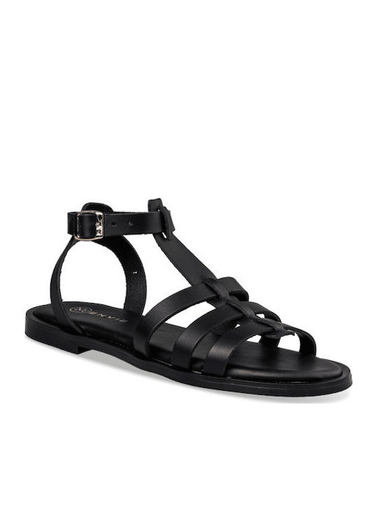 Envie Shoes