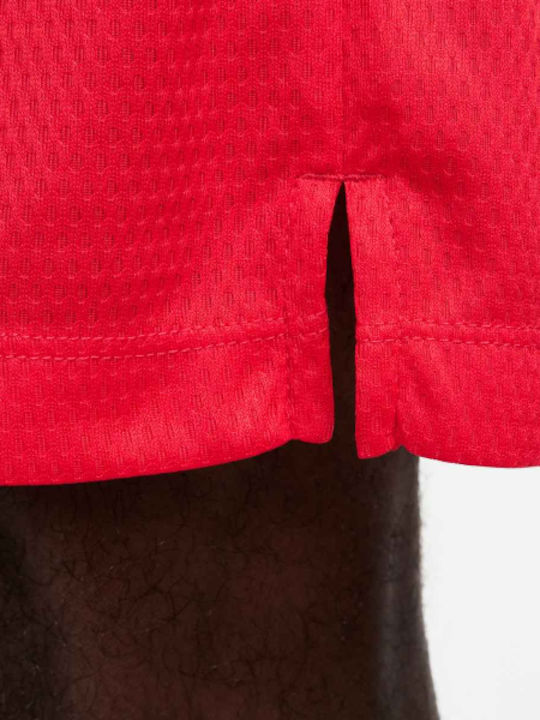 Sports Men's Shorts Dri-FIT Red