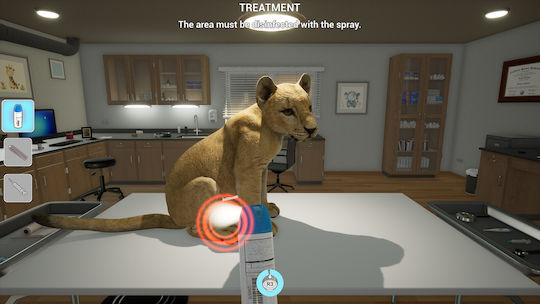 My Vet Practice in the Zoo Switch Game