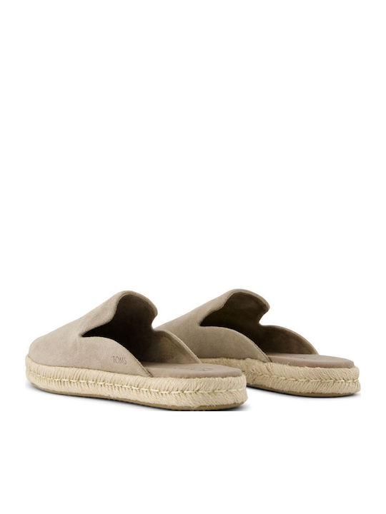 Toms Toms