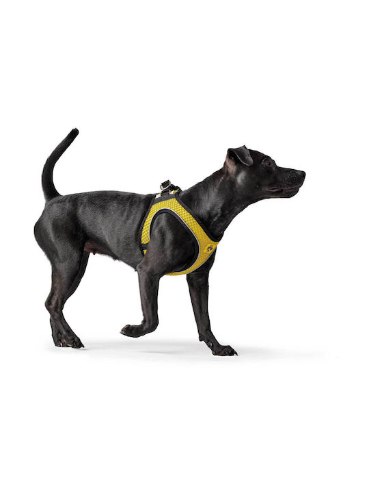 Hunter Harness Hilo Κίτρινο Large / Medium