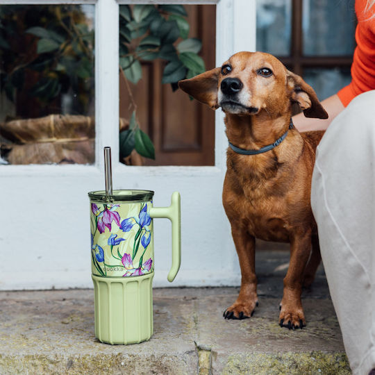 Quokka Handled Tumbler Stainless Steel BPA Free 720ml Green Tea with Straw and Handle