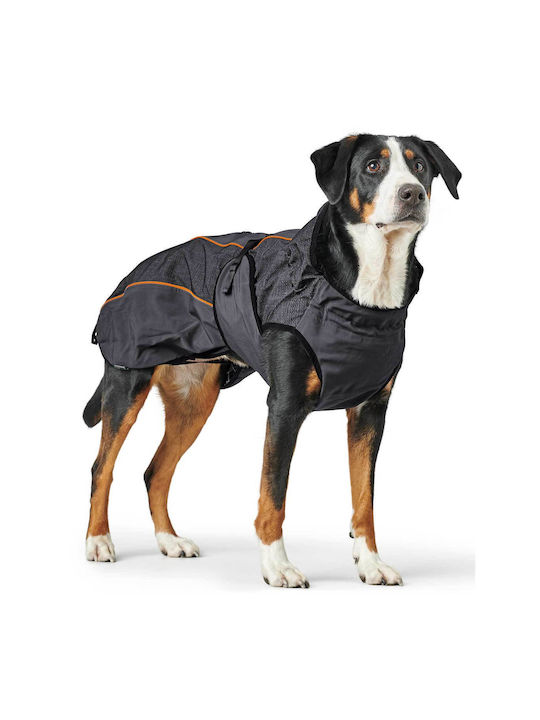 Hunter Waterproof / Windproof Dog Coat with 50cm Back Length