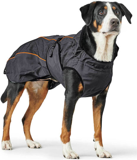 Hunter Hundemantel Wasserdicht / Winddicht Mehrfarbig mit Rückenlänge 50 cm.