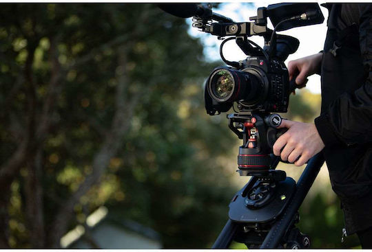 SYRP Glisieră 9421032390807