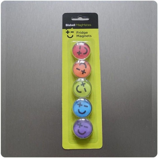 Bisbell Magmates Set von Magneten 3cm 5pcs