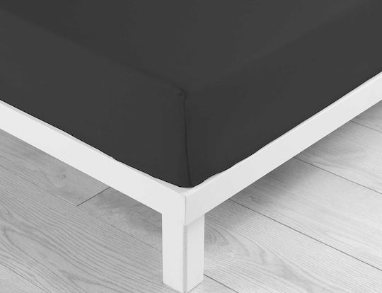Cearșaf Super dublu cu Elastic 160x200+30cm. L-c Lina Negru