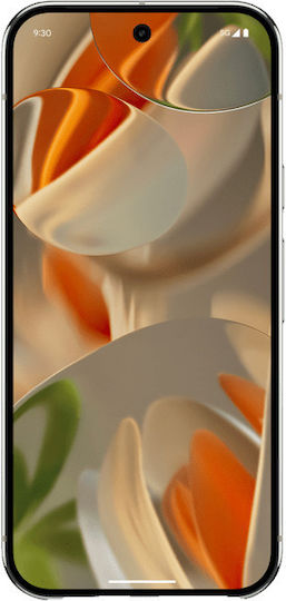 Google Pixel 9 Pro 5G (16/128GB) Porcelain