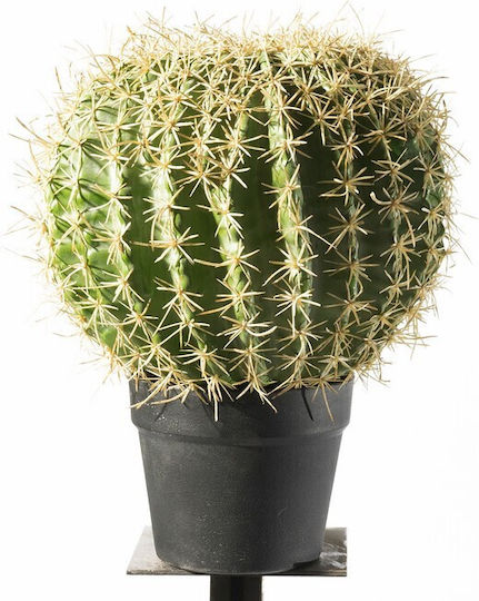 Supergreens Artificial Echinocactus Plant 36 cm