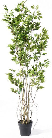 Artificial Outdoor Tree Ficus Lyrata Green 170cm Supergreens