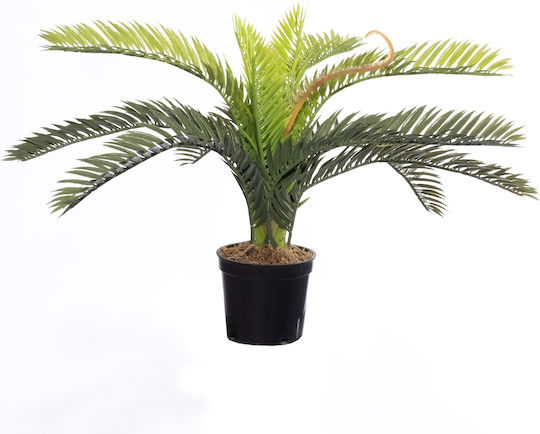 Palm Tree in Pot Supergreens
