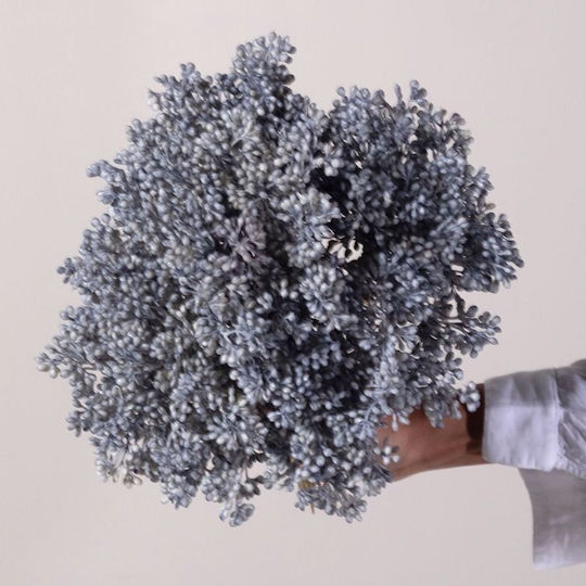 Blumenstrauß aus Häschenwedel Blau 28cm Supergreens