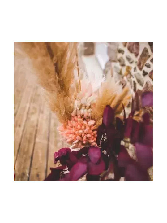 Γατακια Lagurus Ροζ 75cm 50τμχ Beauty Home
