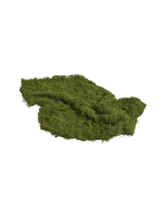 MOSS Fankon Flowers