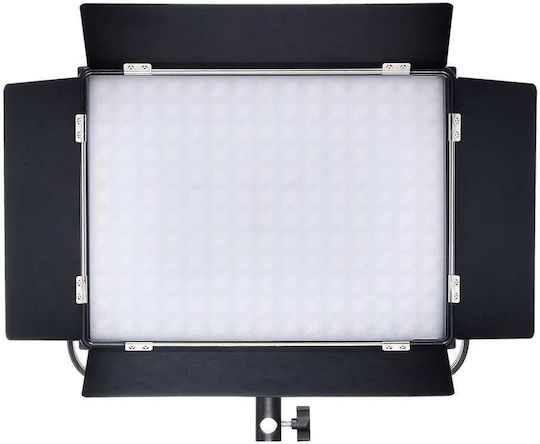 Jinbei 80W