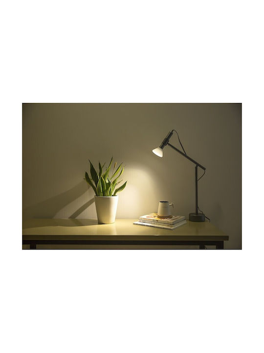 Allocacoc Flashlight Επαναφορτιζόμενο LED Φωτιστικό Allocacoc Flashlight Επαναφορτιζόμενο LED Φωτιστικό
