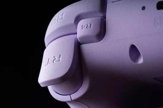 8Bitdo Ultimate 2C Ασύρματο Gamepad για PC Μωβ