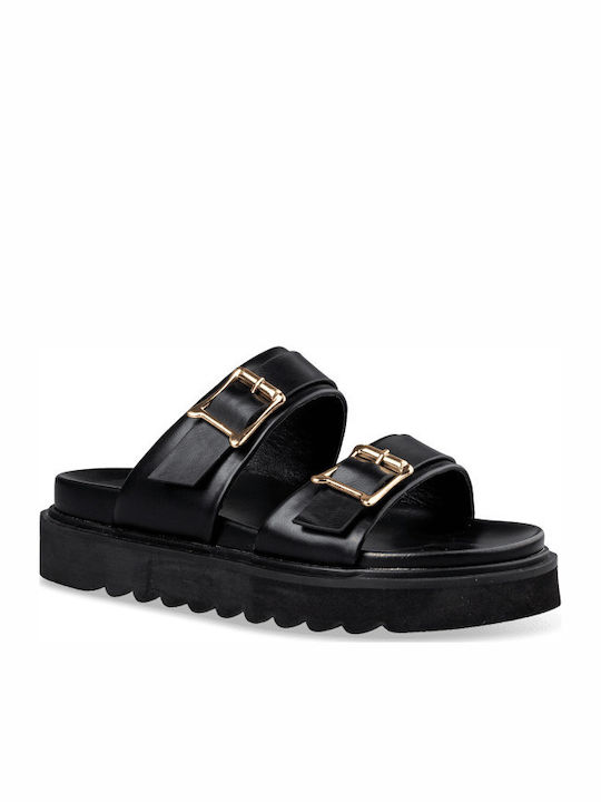 Envie Shoes