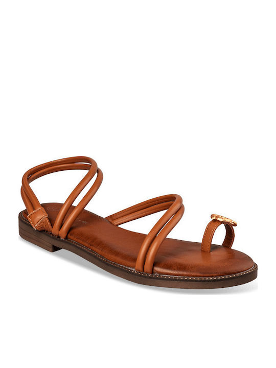Envie Shoes