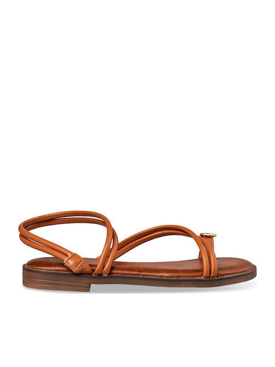 Women's Flat Sandals in Brown Color