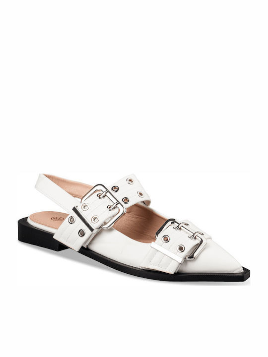 Envie Shoes