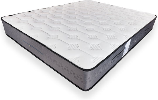 Polo Double Anatomic Saltea 140x200x24cm