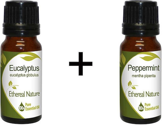 Nature & Body Αιθέριο Έλαιο Ευκάλυπτος 10ml