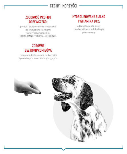 Paka Zwierzaka Bone for Dogs from Beef 55gr
