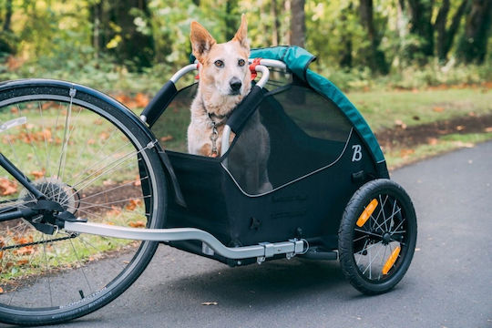 Burley WeeRide Fahrradanhänger