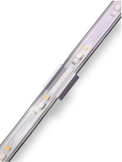 Suporturi pentru Lumini de Exterior Govee 10 Bucăți Electronice