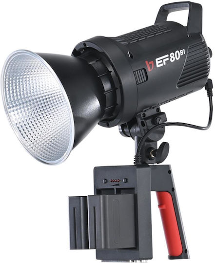 Jinbei Ef-80bi Bicolor Led