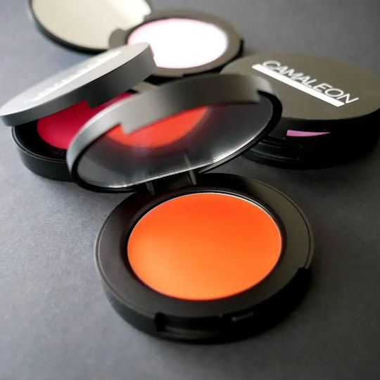 Camaleon Fard Obraz Infinity Peach