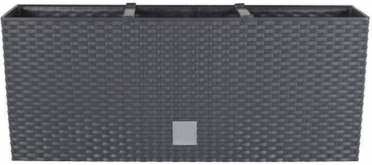 Set 2 Ghivece Decorative Sistem de Irigare Imitatie Ratan Antracit 30 L 60x25x24 Cm Rato Case Set 2 Ghivece Decorative Sistem de Irigare Imitatie Ratan Antracit 30 L 60x25x24 Cm Rato Case