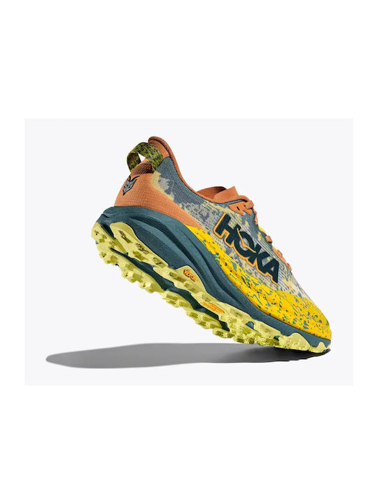 Speedgoat 6 Sport Shoes Trail Running Multicolour