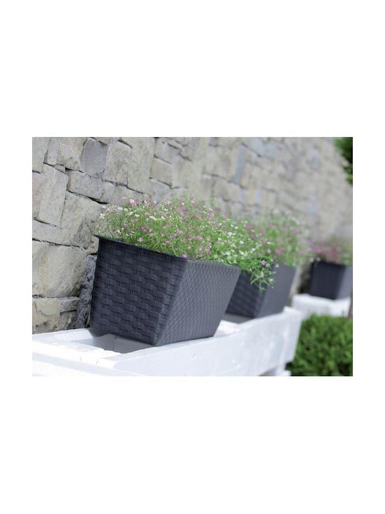 Set 4 Decorative Planters Anthracite 68.5x17.3x15 Cm Ratolla Case P