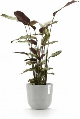 Ecopots Oslo Pot Plastic White Grey 25x25x21.8cm.