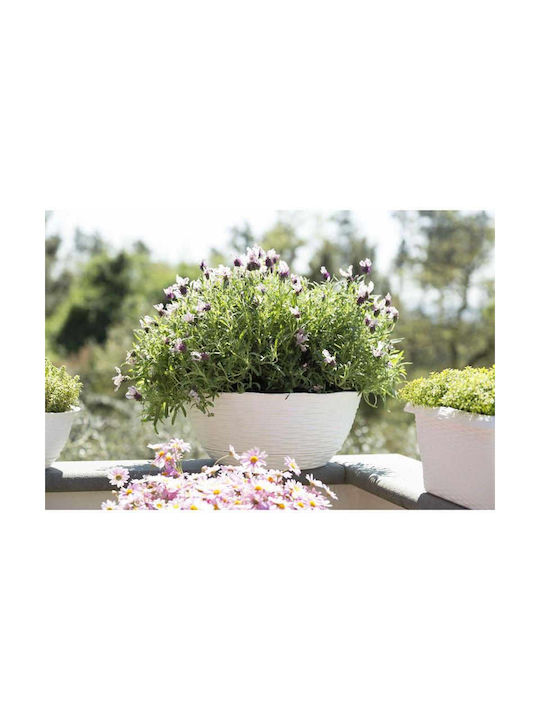 Bama Blumentopf Runder Topf Kunststoff White Bama Blumentopf Runder Topf Kunststoff White