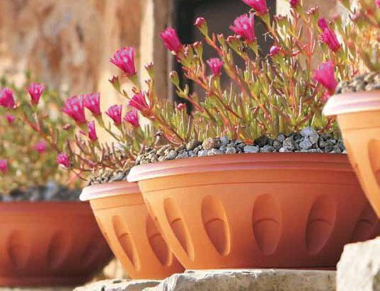 Bama Pot Plastic Light Terracotta Bama Pot Plastic Light Terracotta