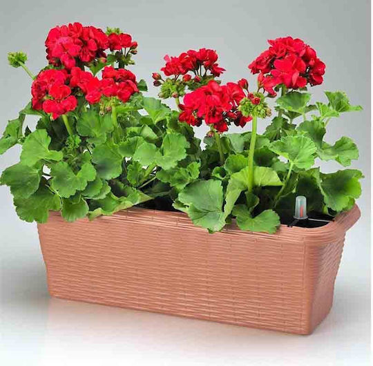 Bama Самополивен Кутия за саксии Пластмаса Light Terracotta 40x20x17.5см.